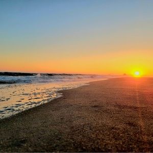 Meet your Posher, Sydnee